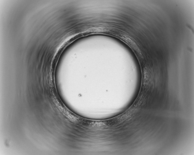 X0000102260784200808151840