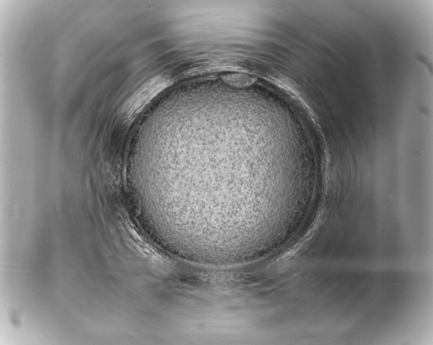 X0000102260785200808151840