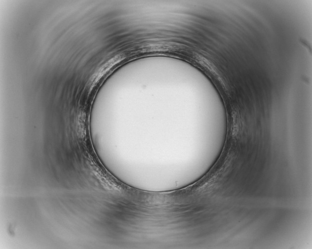 X0000102260786200808151840