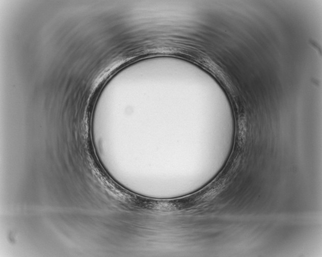 X0000102260787200808151839