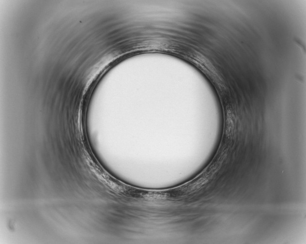 X0000102260788200808151839