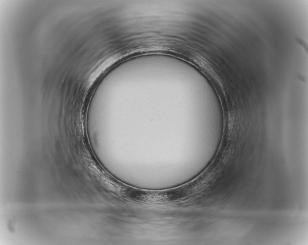 X0000102260789200808151839