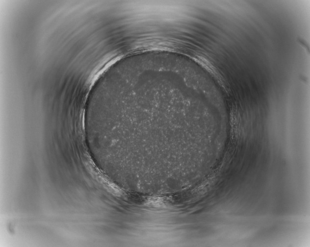 X0000102260790200808151839