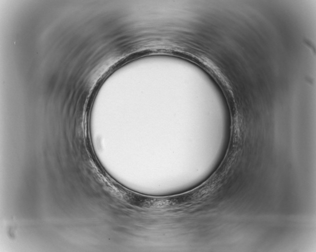 X0000102260791200808151839