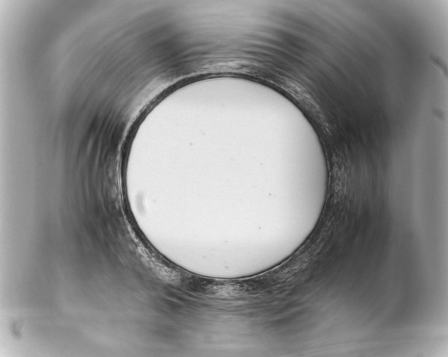 X0000102260792200808151839