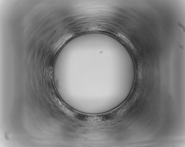 X0000102260793200808151839