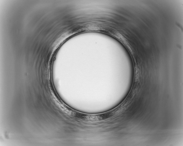 X0000102260795200808151839