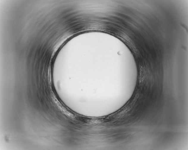 X0000102260796200808151839