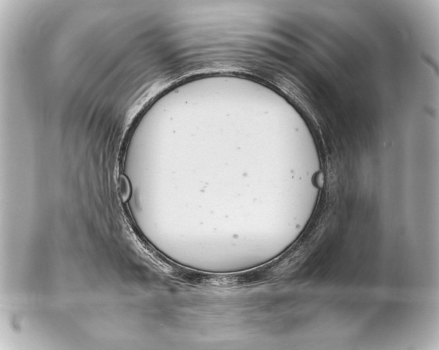 X0000102260797200808151839