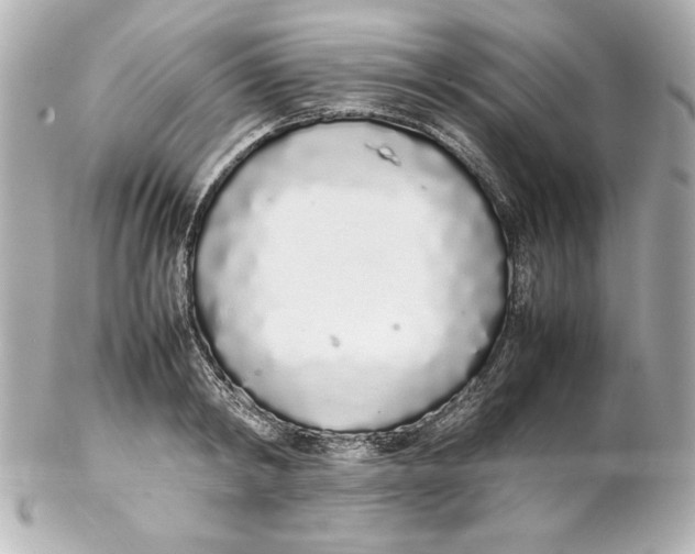 X0000102260798200808151839