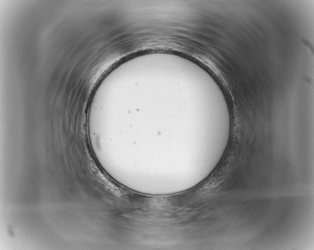 X0000102260799200808151839