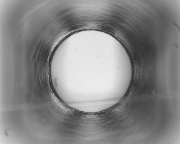 X0000102260800200808151839