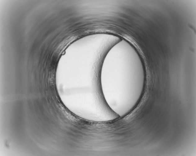 X0000102260801200808151839