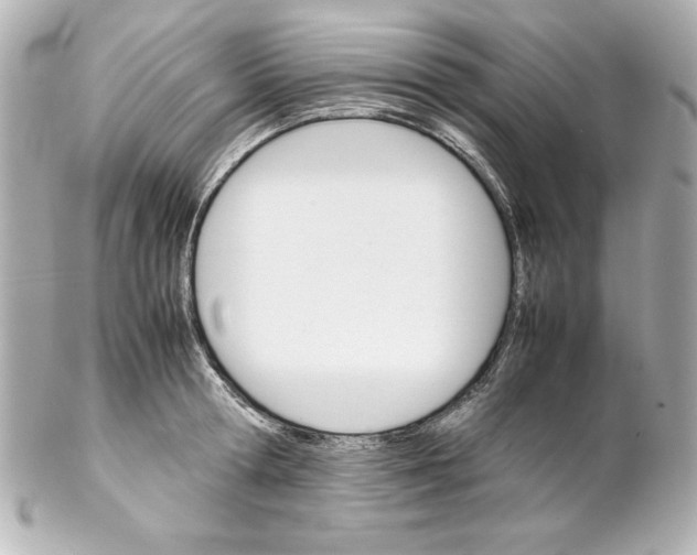 X0000102260802200808151839