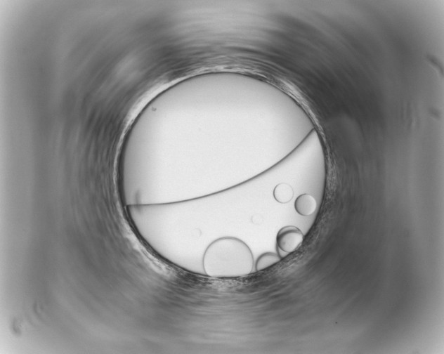 X0000102260803200808151839