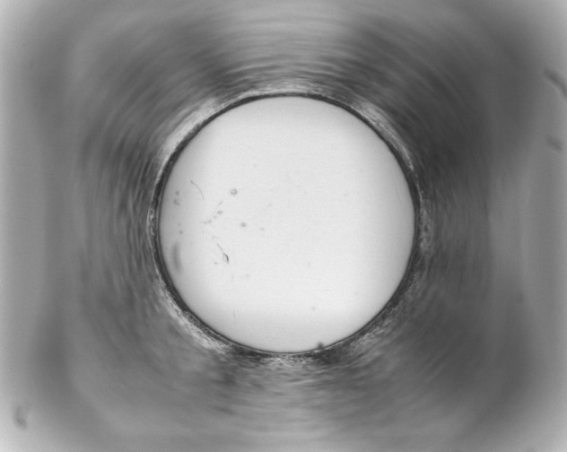 X0000102260805200808151839