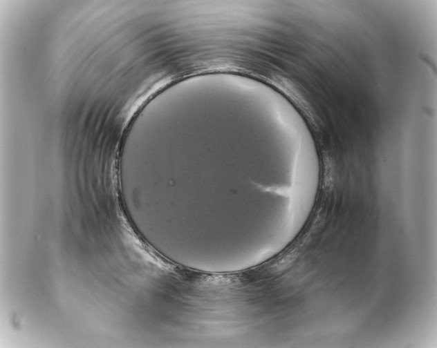 X0000102260806200808151839