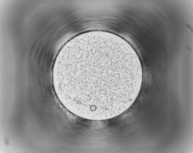 X0000102260807200808151839