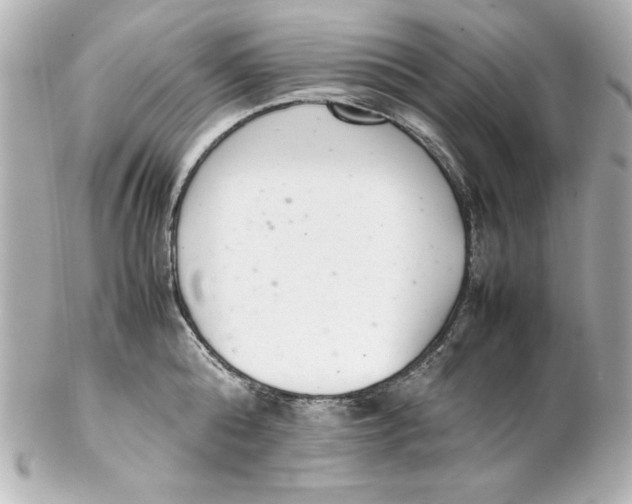 X0000102260808200808151839