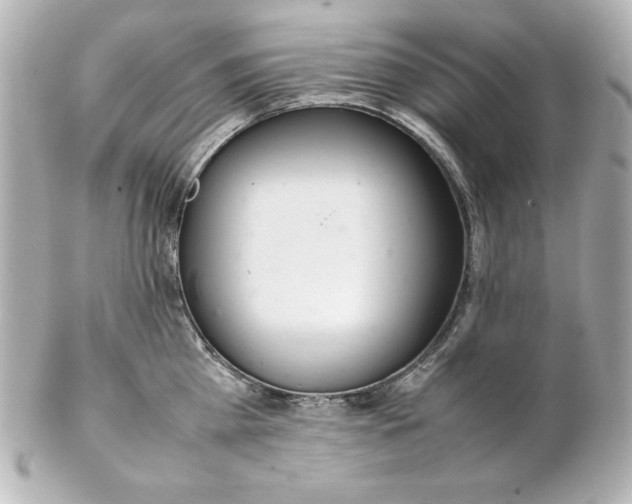 X0000102260809200808151839