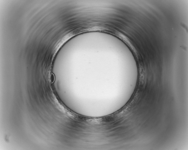 X0000102260810200808151839