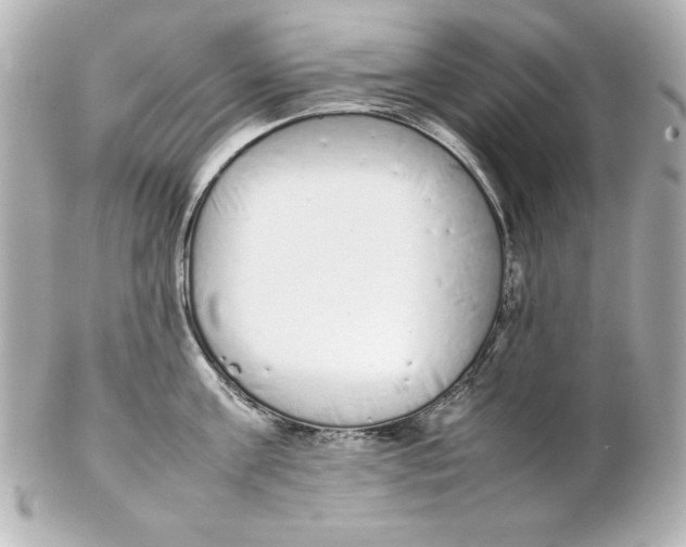 X0000102260811200808151839