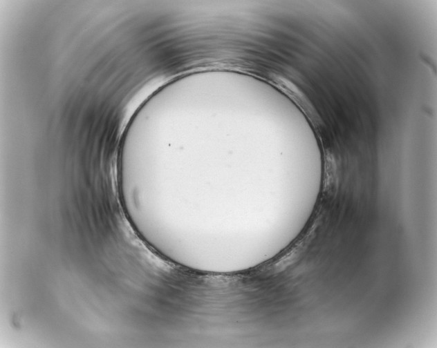 X0000102260812200808151839