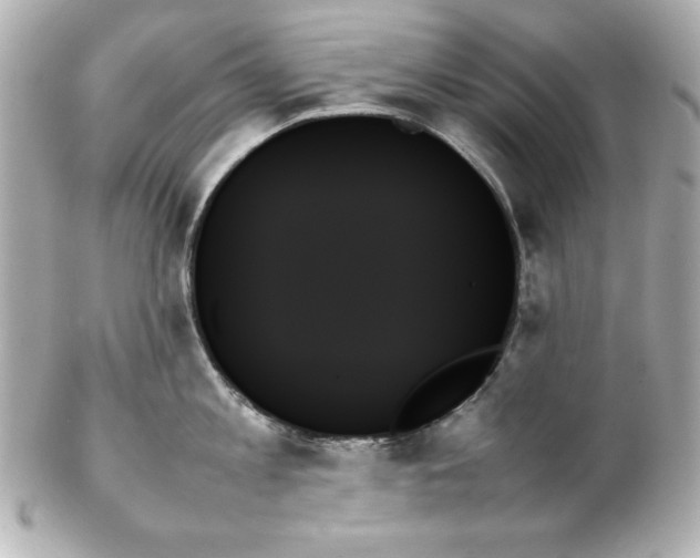 X0000102260813200808151839