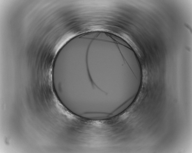 X0000102260814200808151839