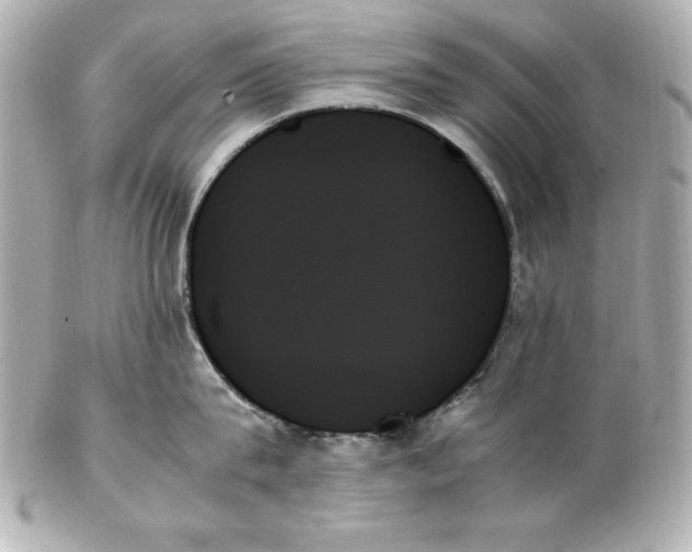 X0000102260815200808151839