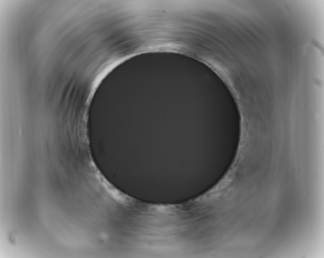 X0000102260816200808151839