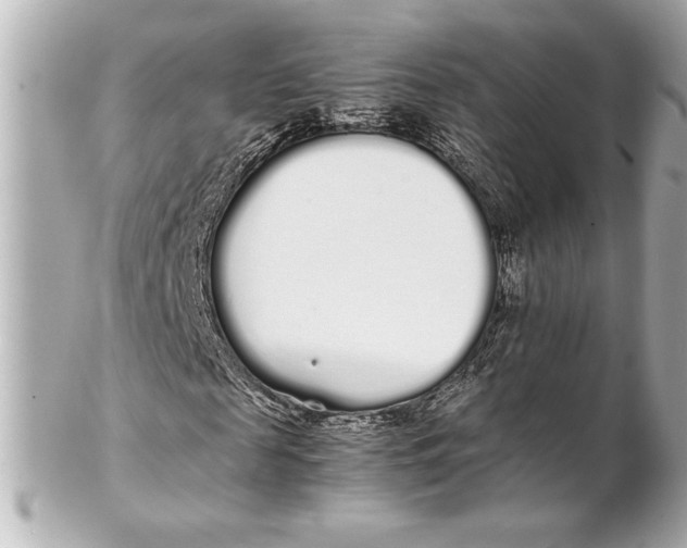 X0000102260817200808151838