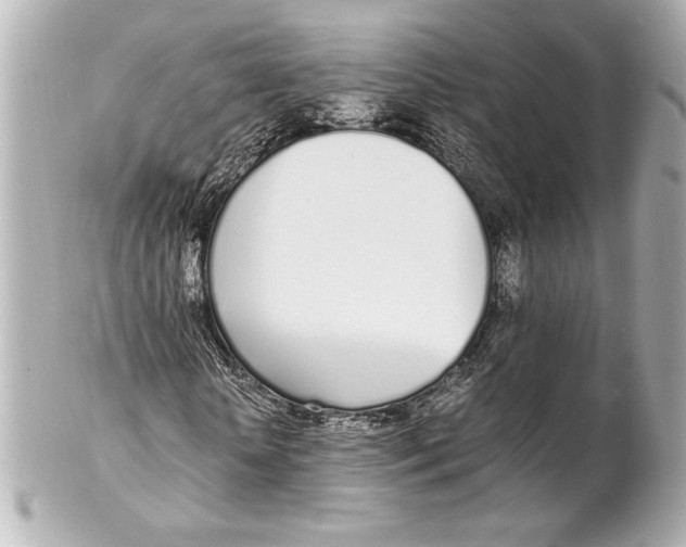 X0000102260818200808151838