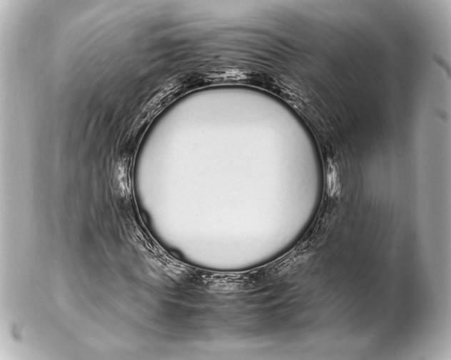 X0000102260819200808151838