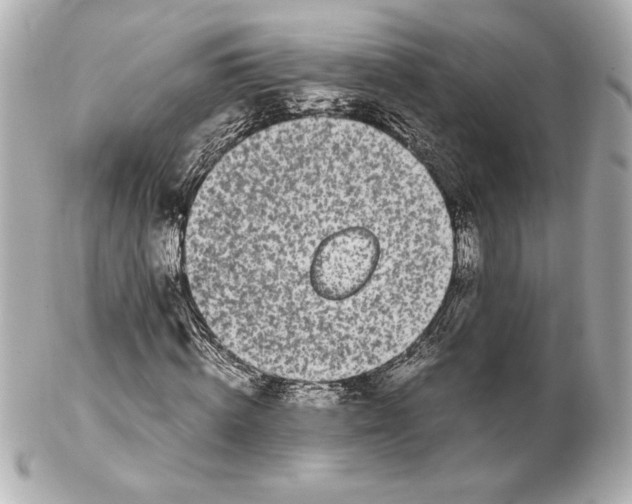 X0000102260820200808151838