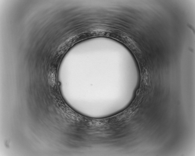 X0000102260821200808151838