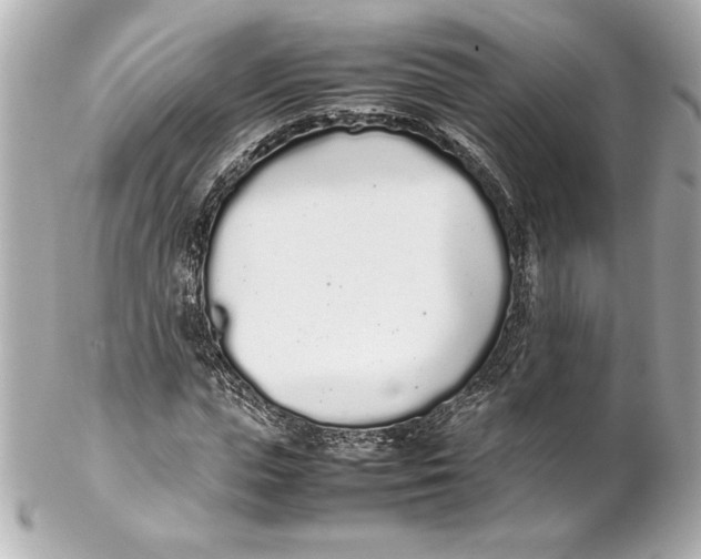 X0000102260823200808151839