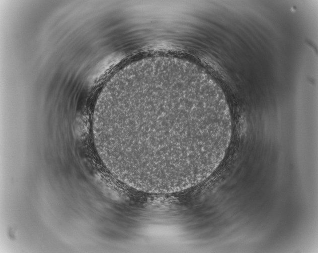 X0000102260824200808151839