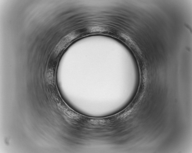 X0000102260825200808151839