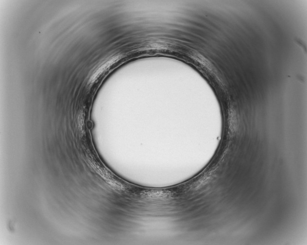 X0000102260826200808151839