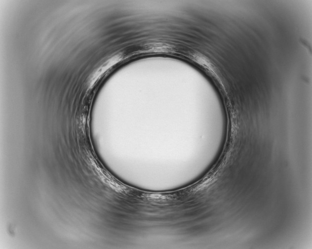 X0000102260827200808151839