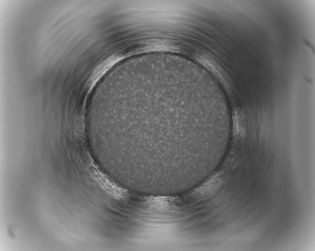 X0000102260828200808151839