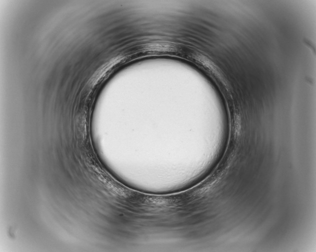 X0000102260829200808151839