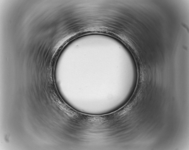 X0000102260830200808151839