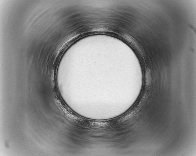 X0000102260831200808151839