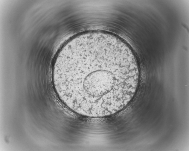 X0000102260832200808151839