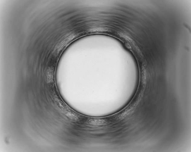 X0000102260833200808151839