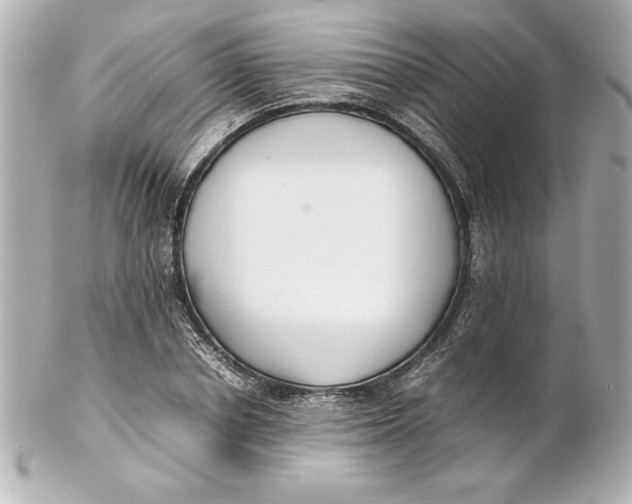 X0000102260834200808151839