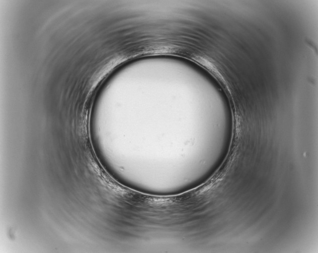 X0000102260835200808151839