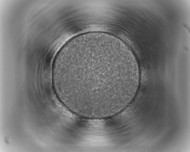 X0000102260836200808151839